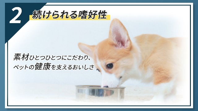 Amazon.co.jp: VetsWell(ベッツウェル) 犬用食事療法食 食物アレルギー